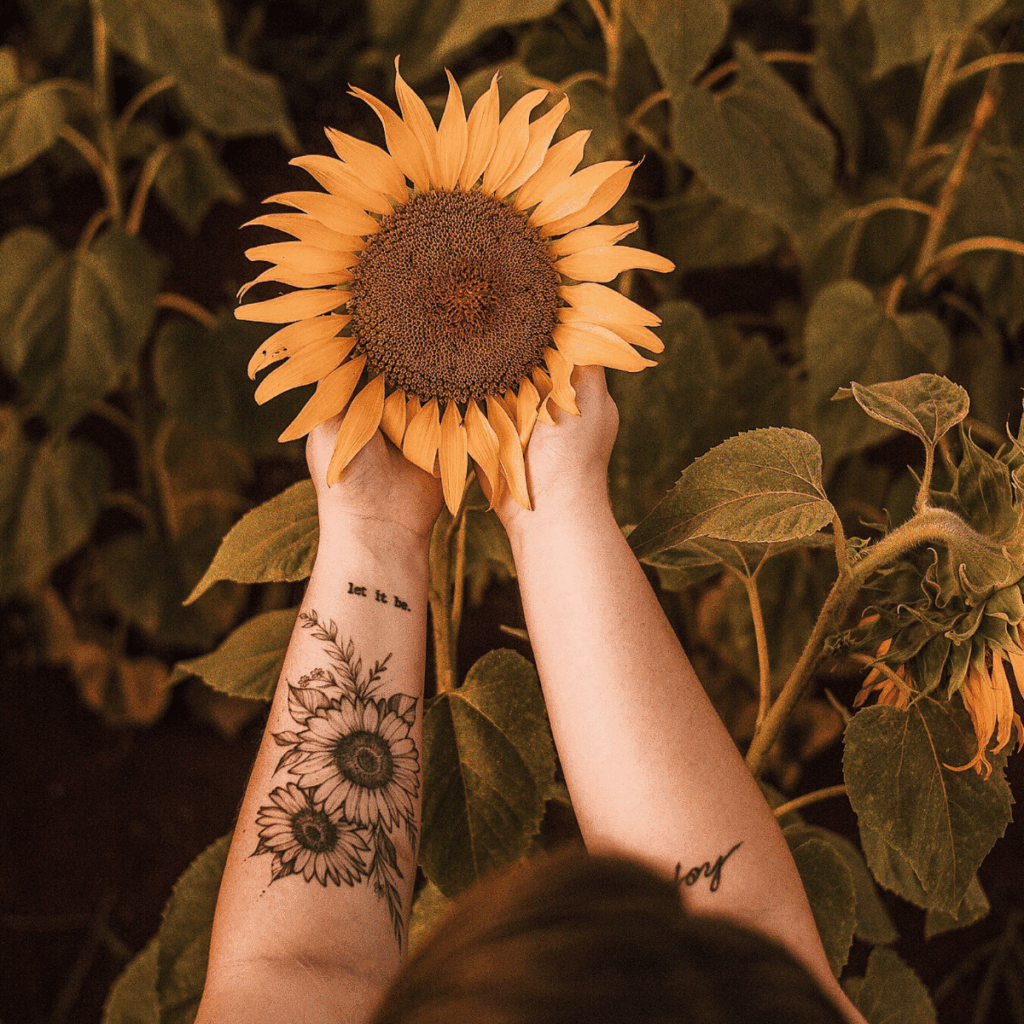 Sunflower kernels – a sustainable, nutritious ingredient shaping modern food production.