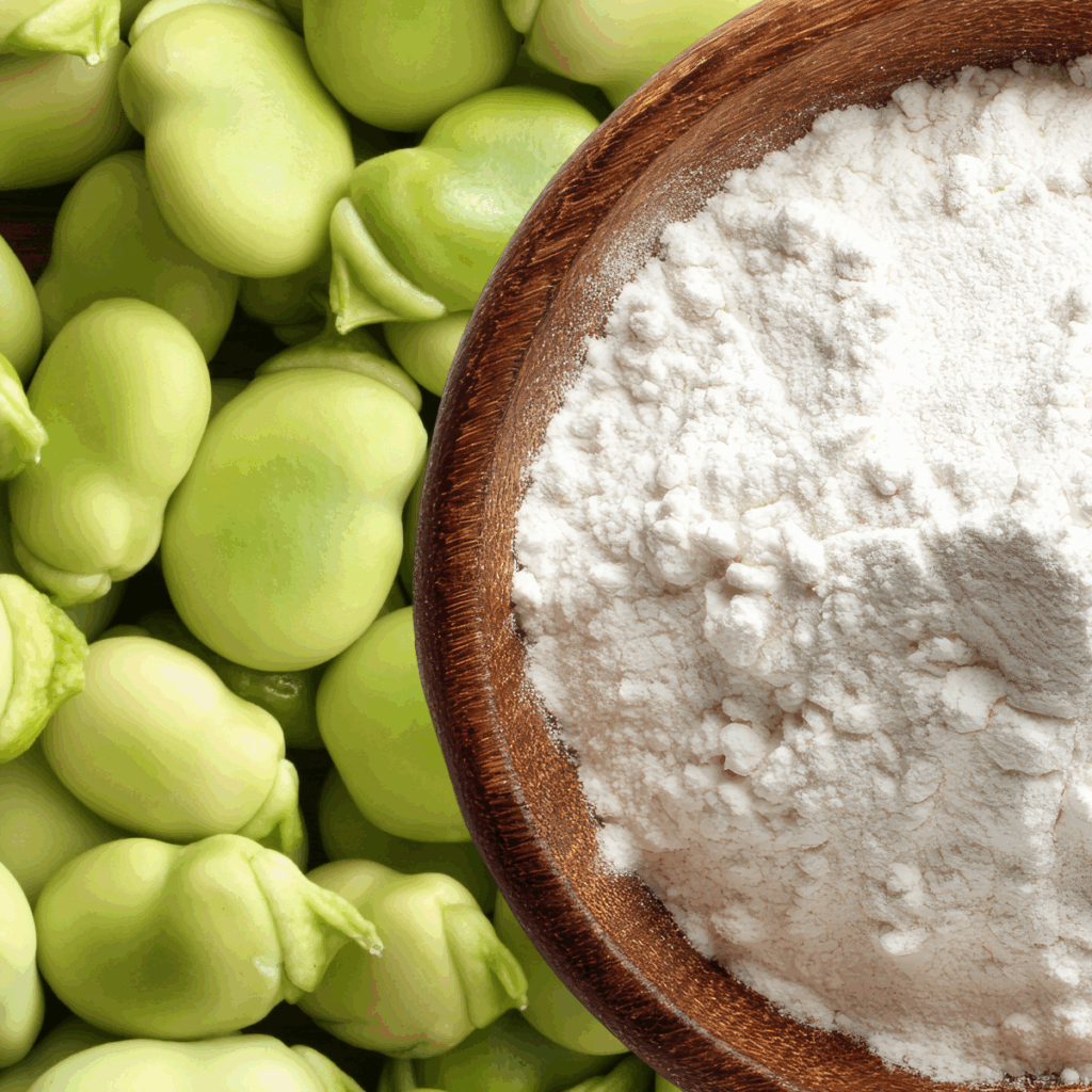 Native faba bean flour for food manufacturing, used for binding, structure and water control
