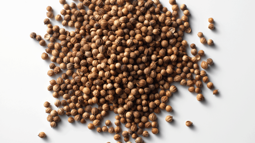 Coriander Seeds from Europe