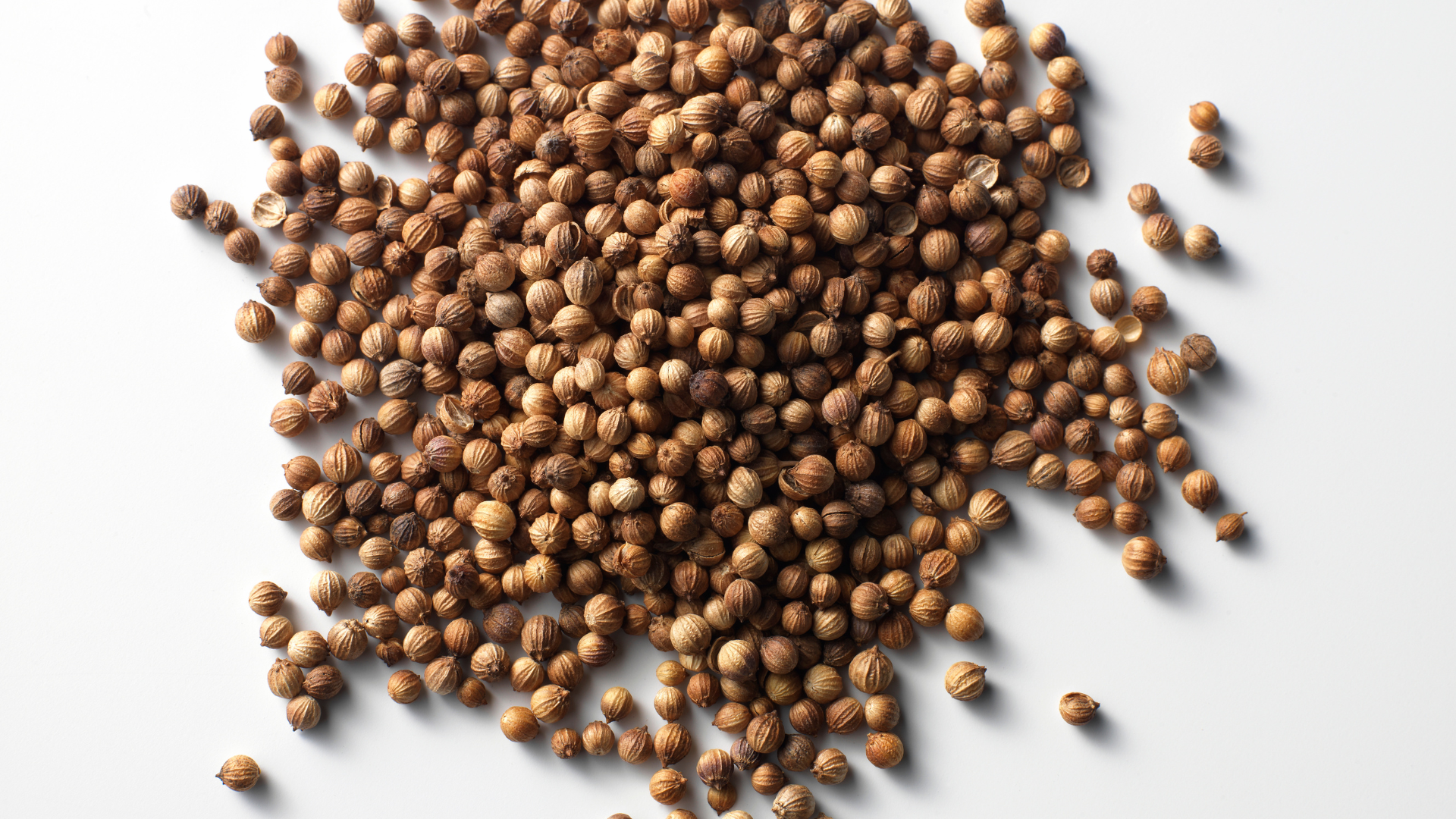 Coriander Seeds from Europe