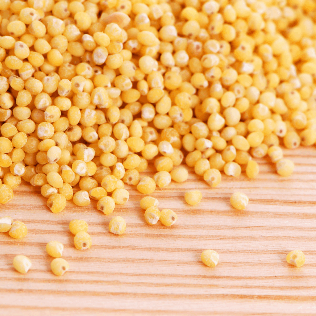 Millet grain close-up, illustrating EU-origin availability and lot-based sourcing