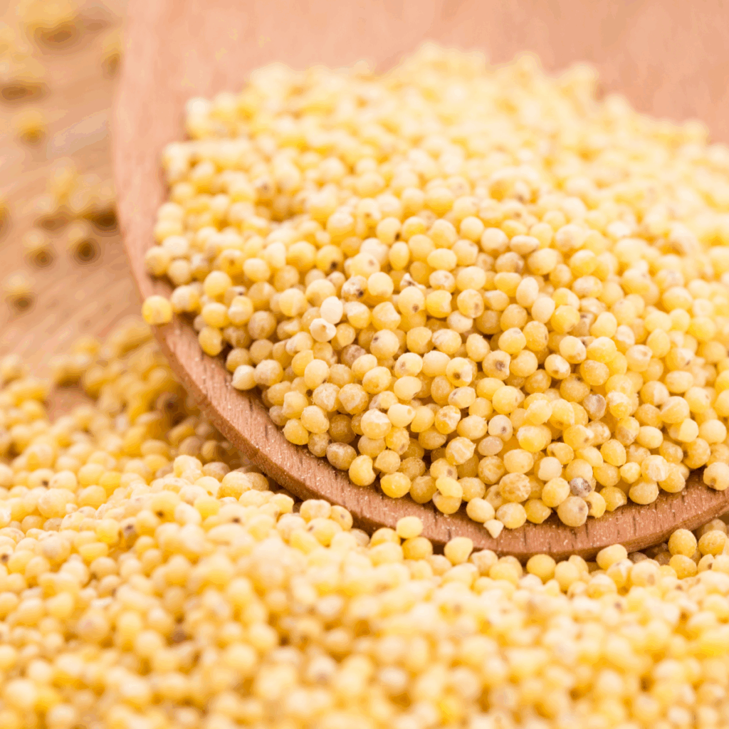Millet kernels for food production, organic market and QA risk in Europe