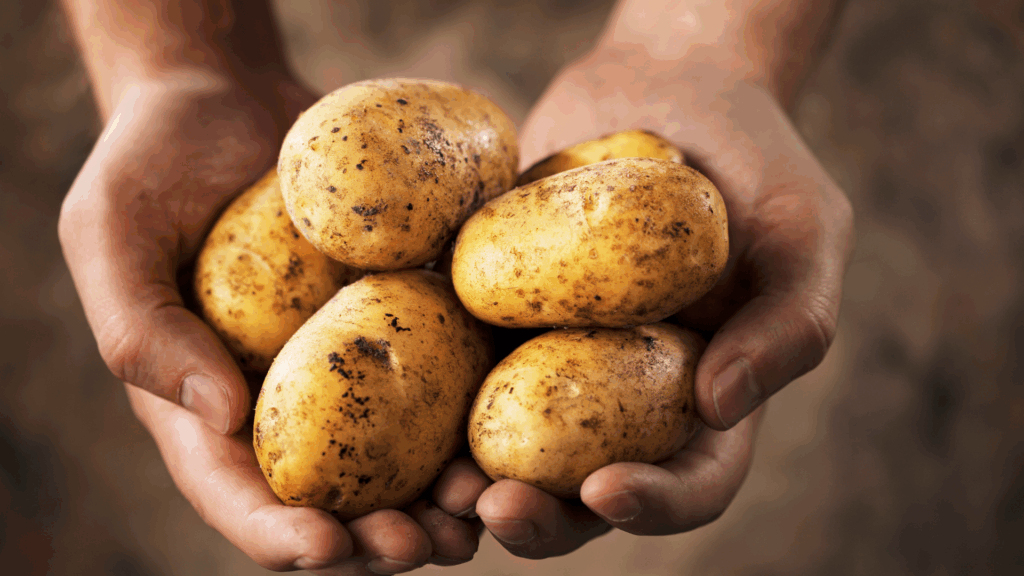 Potato Fiber