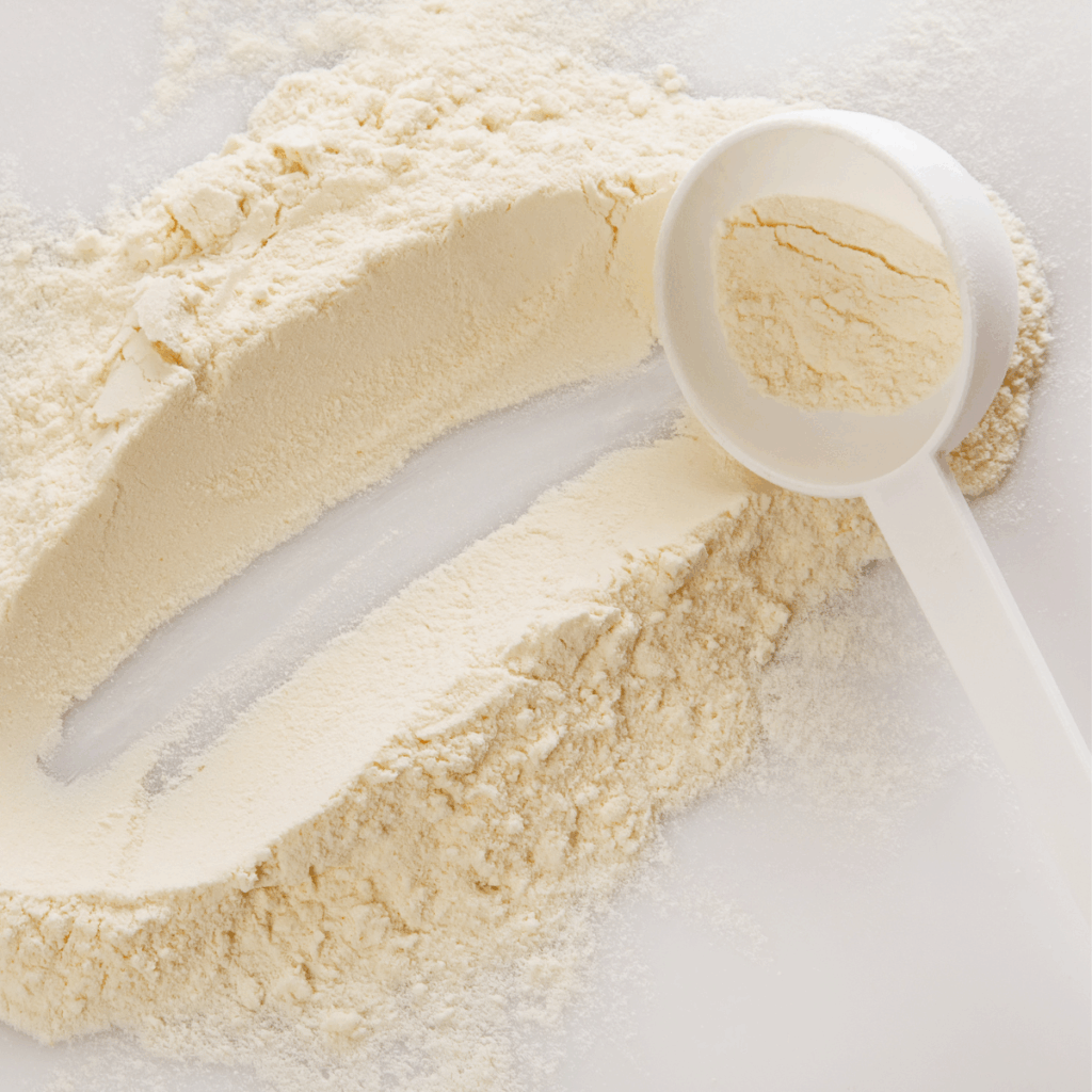 Plant protein powder illustrating functional protein ingredients used in food formulations.